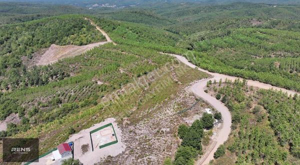 Rens Gayrimenkulden Ovacıkta Satılık Doğa Harikası Tarla