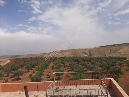 Acil Satılık Bağ Evi Ve Bahçe