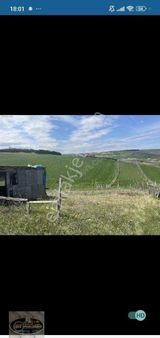 İstanbul Çatalca, Çanakça Mahallesinde Satılık 294 M2 Tarla