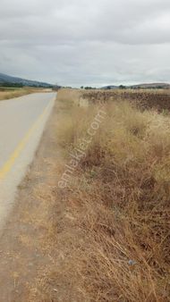 Tokat Erbaa Koçak Alabalık Tesisi Yakını Asfalta Sıfır 4.754 M2 Tek Tapu Arazi