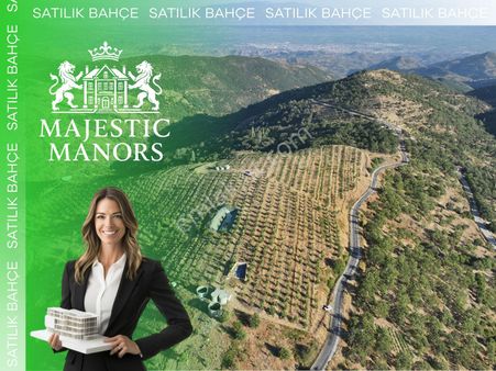 Nazilli Yaylapınar’da 10 Dekar Müstakil Ceviz Bahçesi