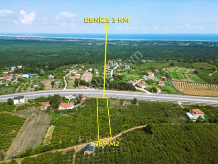 Karasu Üçoluk'da Karadeniz Sahil Yoluna Cephe Satılık Fındıklık