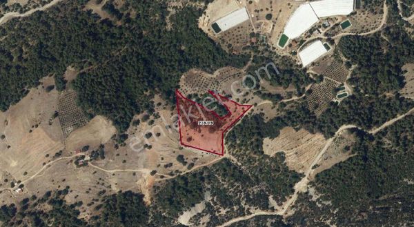 Doğanın Kalbinde, Yatırımın Merkezinde: Kaş'ta Dev Arazi