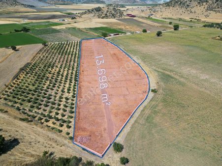 Dikili De Eşsiz Tarla Toprağa Dokun Doğayla Yaşa
