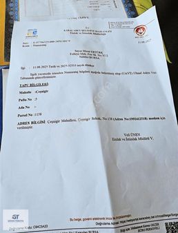 Çeşnigir Köyünde Harika Köyünde Hobi Bahçesi