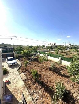 Anlatmaya Gerek Yok Görüyorsunuz!! Sancakta Çok İyi!!