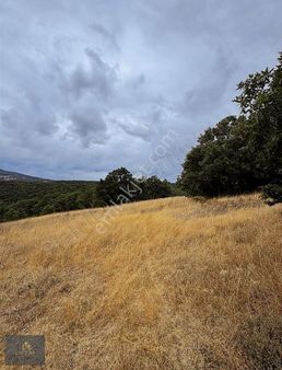 Çanakkale Yeniçeri Köyünde Satılık Yatırımlık Uygun Tarla