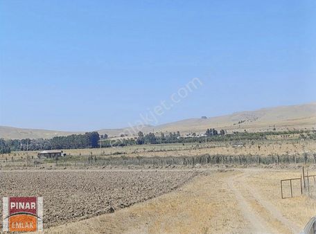 Alaköy'de Yerleşime Yakın Satılık Tarla