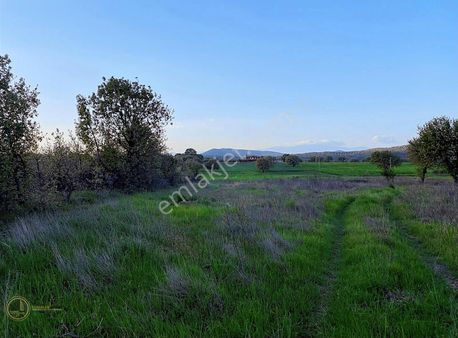 Yasaklar Group'tan Burhaniye Şahinlerde Yatırımlık Tarım Arazisi