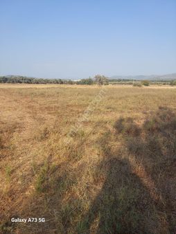 Bodrum Mumcularda Ovada Satılık Tarla