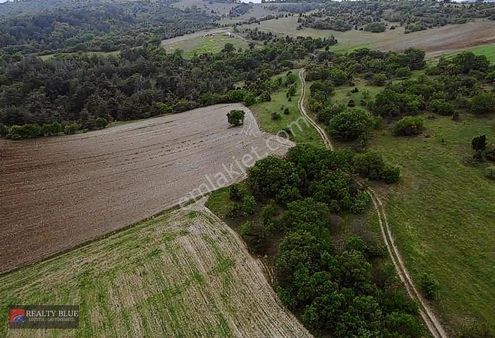 Bilecik Merkezde Resmi Yolu Olan 5000mt Tarla
