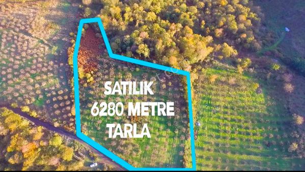 Canik Alibeyli Mahallesinde Deniz Ve Doğa Manzaralı 6280mt Tarla