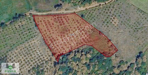 Canik Alibeyli Mahallesinde Deniz Ve Doğa Manzaralı 6280mt Tarla