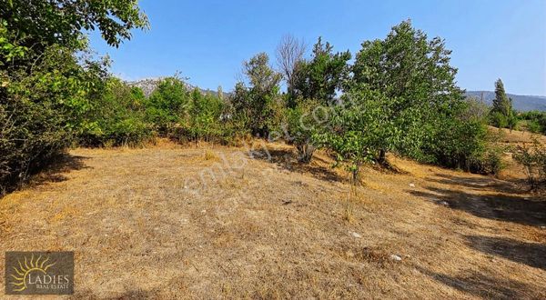 Ladies'ten Çameli Cevizli'de %40 2 Kat İmarlı Tarla