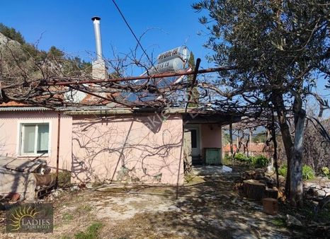 Ladies'ten Elcik Dalaman'da Köy Evi