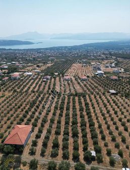 Köyceğiz Zeytinalanı'nda Ful Göl Manzaralı Satılık Tarla