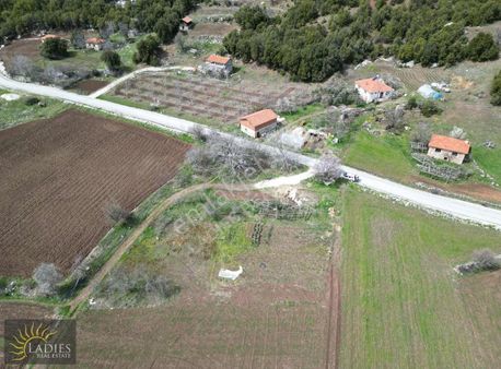 Ladies'ten Çameli Kirazlıyayla 'da 3034 M2 Tarla