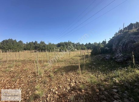 Uyar Gayrimenkulden Erdemli Güzeloluk Yaylasında Satılık Tarla