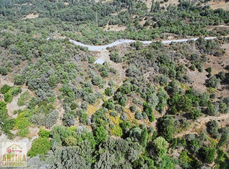 Antika Gayrimenkul'den Ödemiş Çobanlar' Da Satılık Tarla