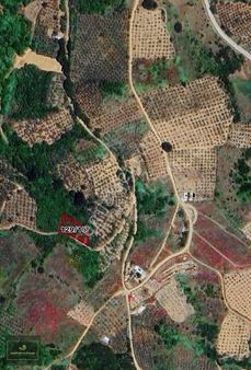 Royal'den Şahinyurdu Köyü 856 M2 Acil Satılık Fırsat Zeytinlik