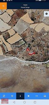 Gesi Büyük Bürüngüz, De Satılık Bağ Evi