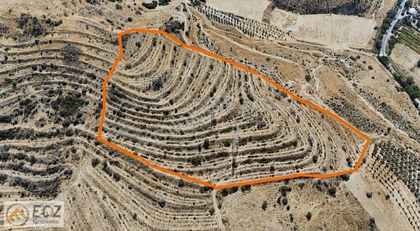 Ecz Gayrimenkul Den Satılık Arazi 26 Dönüm Esentepe Mah Alaşehir