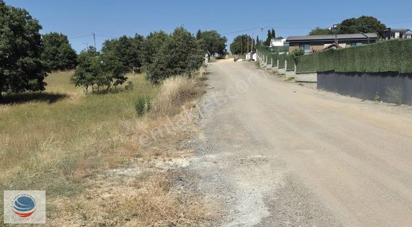 Tuzla Tepeören'de Satılık 4500 M² Villa İmarlı Arsa