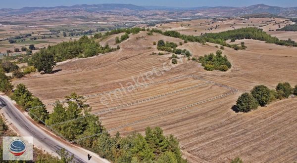 Bursa Yenişehir Çamönü'de Asfalt Yola Cephe Satılık Arsa