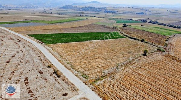 Bursa Yenişehir Köprühisar'da Asfalt Cephe Satılık Arsa