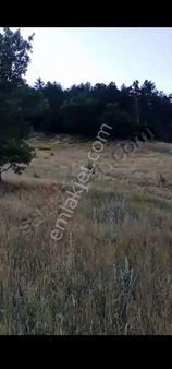 İpekyolu Yapı Emlak'tan Satılık Köy Evi Ve Arsası