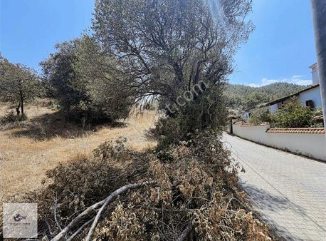 Esentepede Satılık Yan Yana İki Adet Arsa