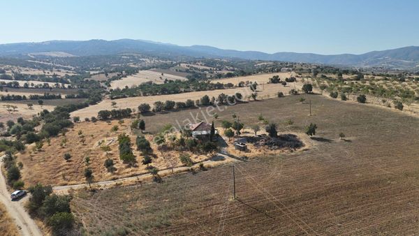 Manisa Kula Bebeklide 11,5 Dönüm Ev Bademlik Çiftlik Su Elektrik