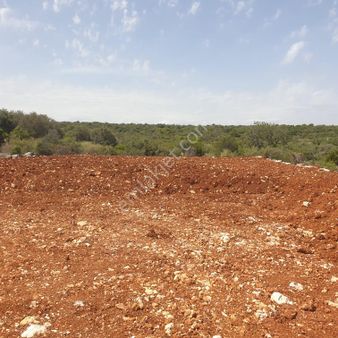 🌾 Satılık Tarla - Kızılisalı’da 7 Dönümlük Verimli Arazi 🌿