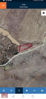 Gesi Büyük Bürüngüzde 3100m2 Bağımız Satlıktır.