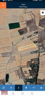 Gesi Büyük Bürüngüzde 9000m2 Tek Tapu Tarlamız Satlıktır.