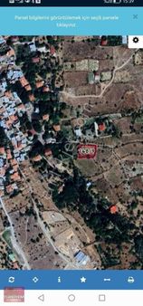 Gesi Büyük Bürüngüzde Yatırımlık Bağ Ve Tarla