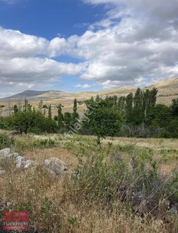 Gesi - Büyük Bürüngüz'de Satılık Bağ Mükemmel Konumlu