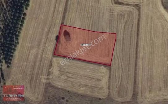 Türkiyem Gyo// Talas Sosun Mahallesinde Satılık Tarlalar