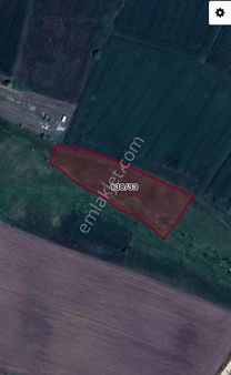 Kırklareli Vize Çakıllı Satılık Kupon 280m2 Hisse