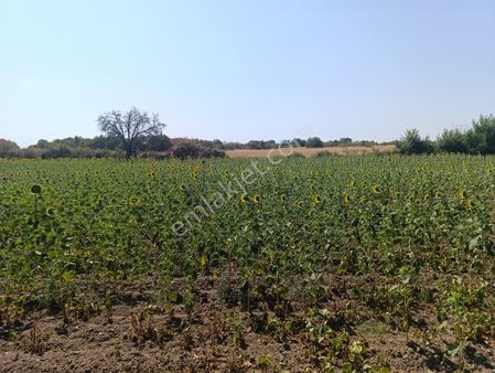 Newcıty Emlaktan Kırklareli Çayırlı Köyünde 11.184 M2 Tarla