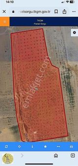 Realite Tapu 63 Celal İkbalden Satılık Emsalsiz Bağ Bahçe