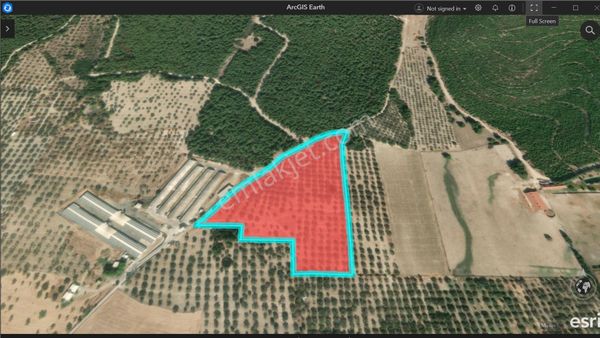 İzmir Foça Satılık Tarla