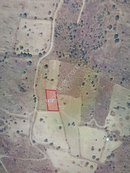 Afyon Tezcan Emlaktan Değirmenayvalı Kurtuluş Satılık Tarla