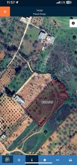 Kiya'dan Hasan Kaluonuc Karşısı Tek Tapu İmarlı