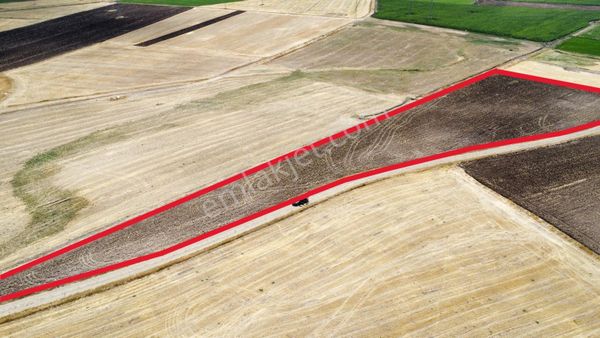 Ağrı'da Satılık Tarla