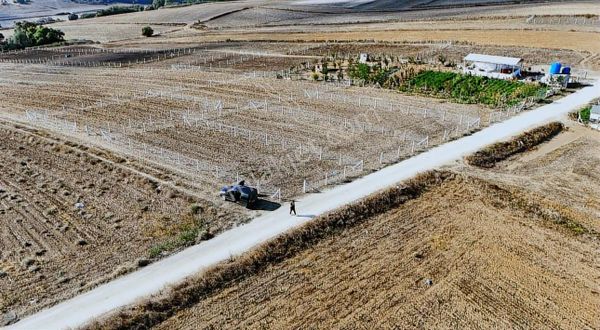 Büyüksinekli De Mükemmel Konumda, Yan Yana Hobi Bahçeleri