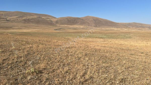 Ağrı'da Satılık Tarla