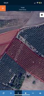 Bursa Mustafakemalpaşa Ayaz Mahallesinde Bakımlı Zeytinlik Fırsatı