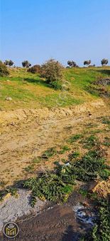 Doyranlıda Manzaralı Elektirik Ve Suyu Olan Arazi