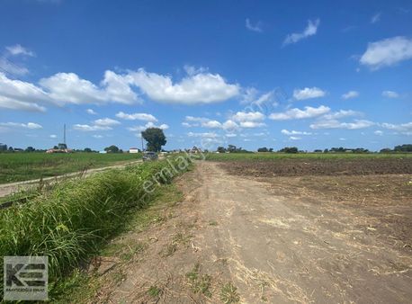 Kahvecioğlu Emlak'tan Doğanca Köyü Satılık 24 Dönüm Tarla